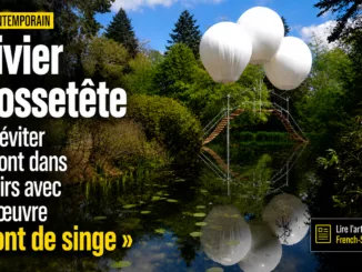 Olivier Grossetête - œuvre « Pont de singe »