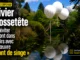 Olivier Grossetête - œuvre « Pont de singe »